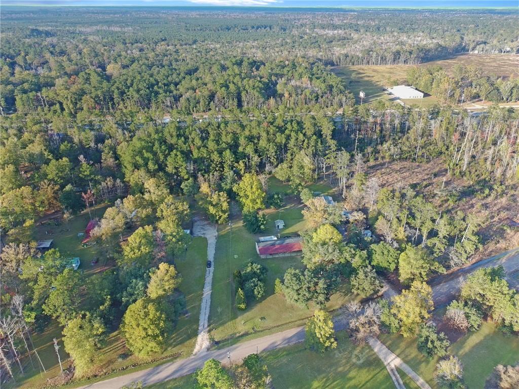 28409 James Chapel Road South Holden, LA 70744 - Photo 10 of 12