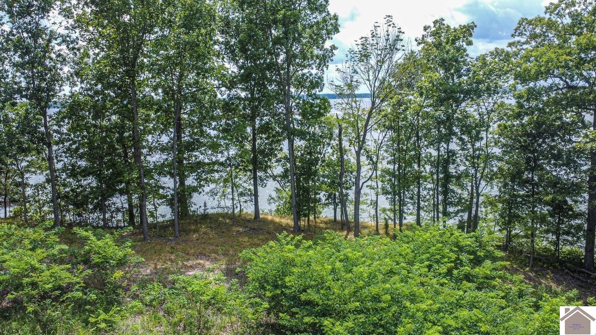 0 Eagle Rst Drive Grand Rivers, KY 42045 - Photo 21 of 27 Gentle Sloping Lots