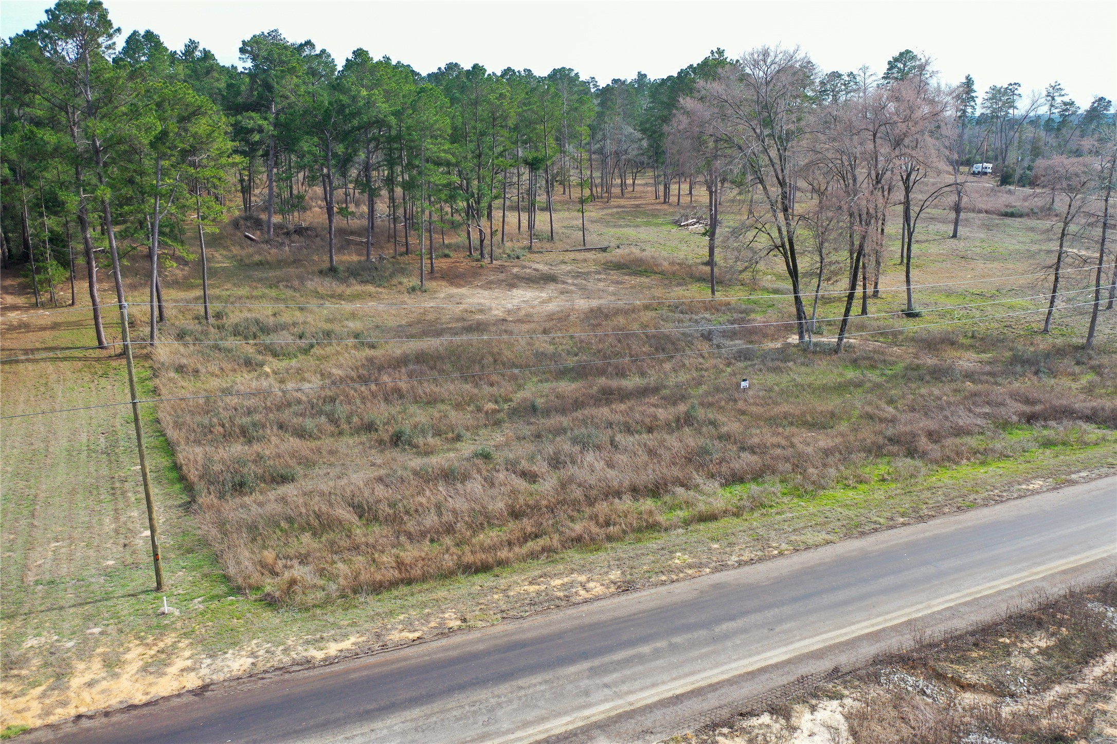 0 County Road 147 Centerville, TX 75833 - Photo 11 of 18 a view of a backyard with green space
