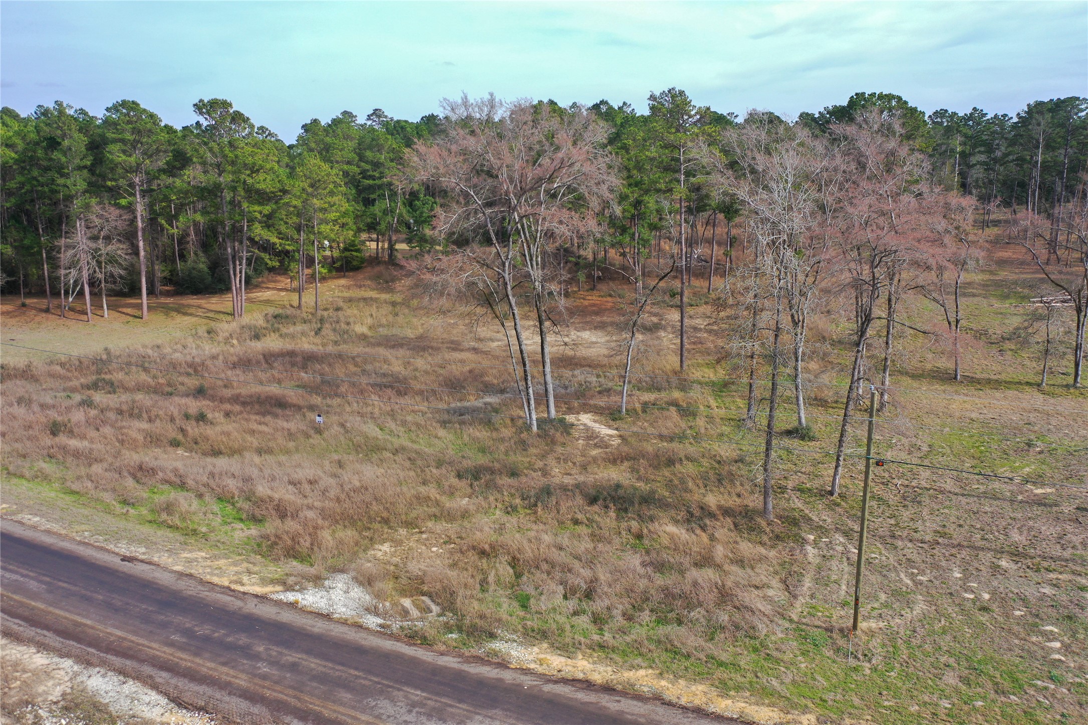 0 County Road 147 Centerville, TX 75833 - Photo 12 of 18 a view of a backyard