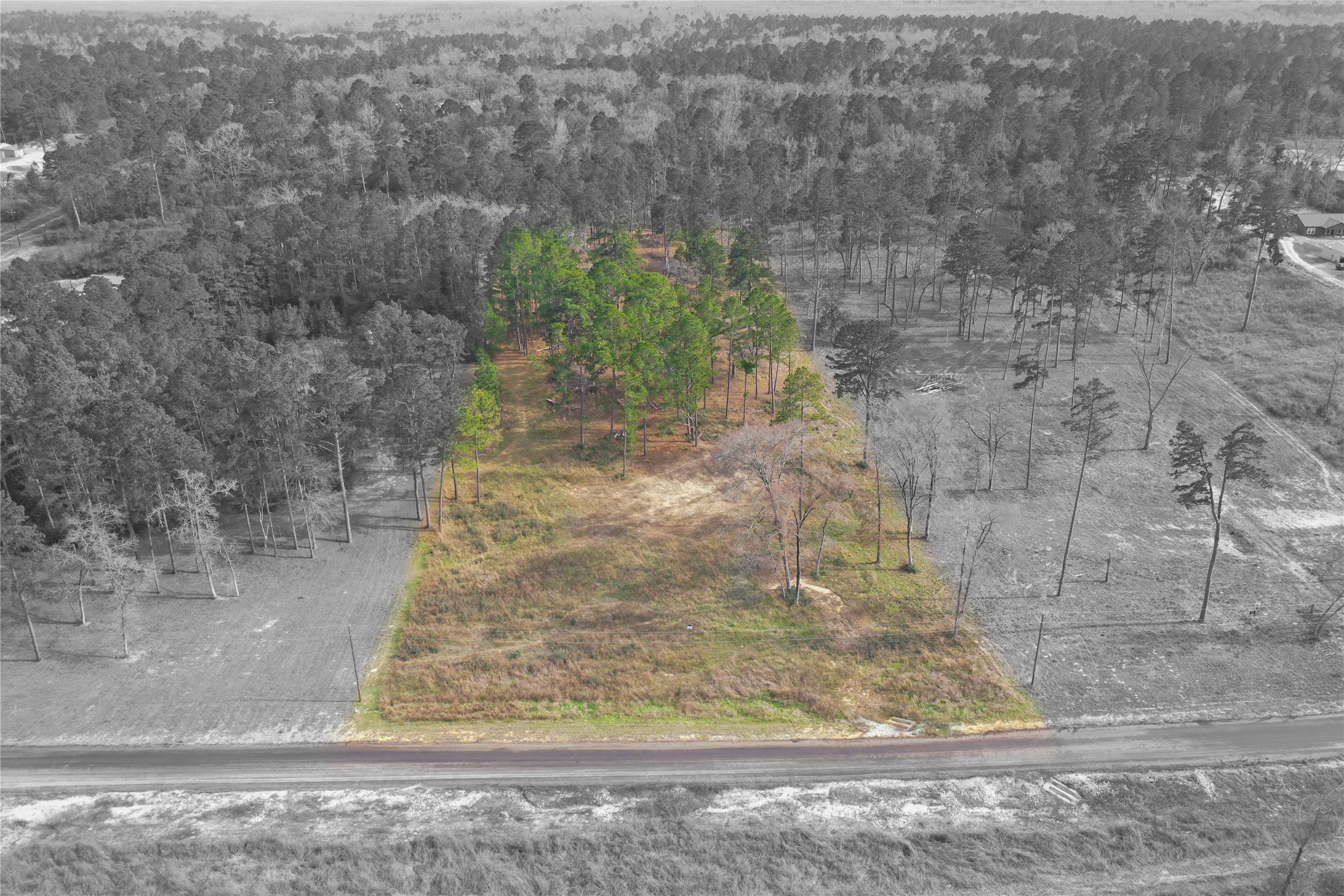 0 County Road 147 Centerville, TX 75833 - Photo 14 of 18 a view of a garden
