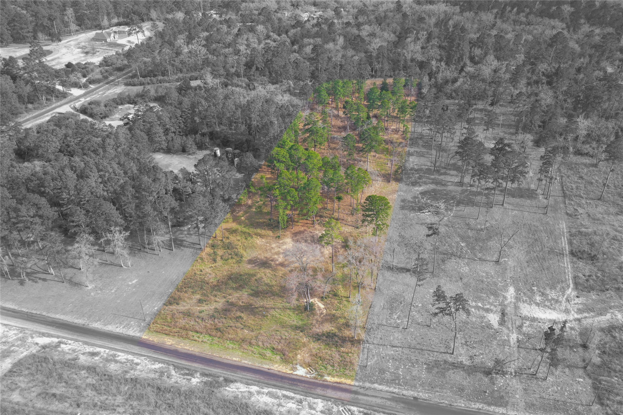 0 County Road 147 Centerville, TX 75833 - Photo 15 of 18 a view of a yard