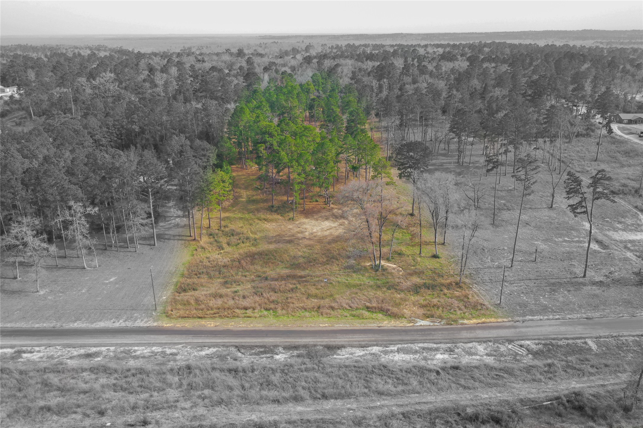0 County Road 147 Centerville, TX 75833 - Photo 3 of 18 a view of a yard