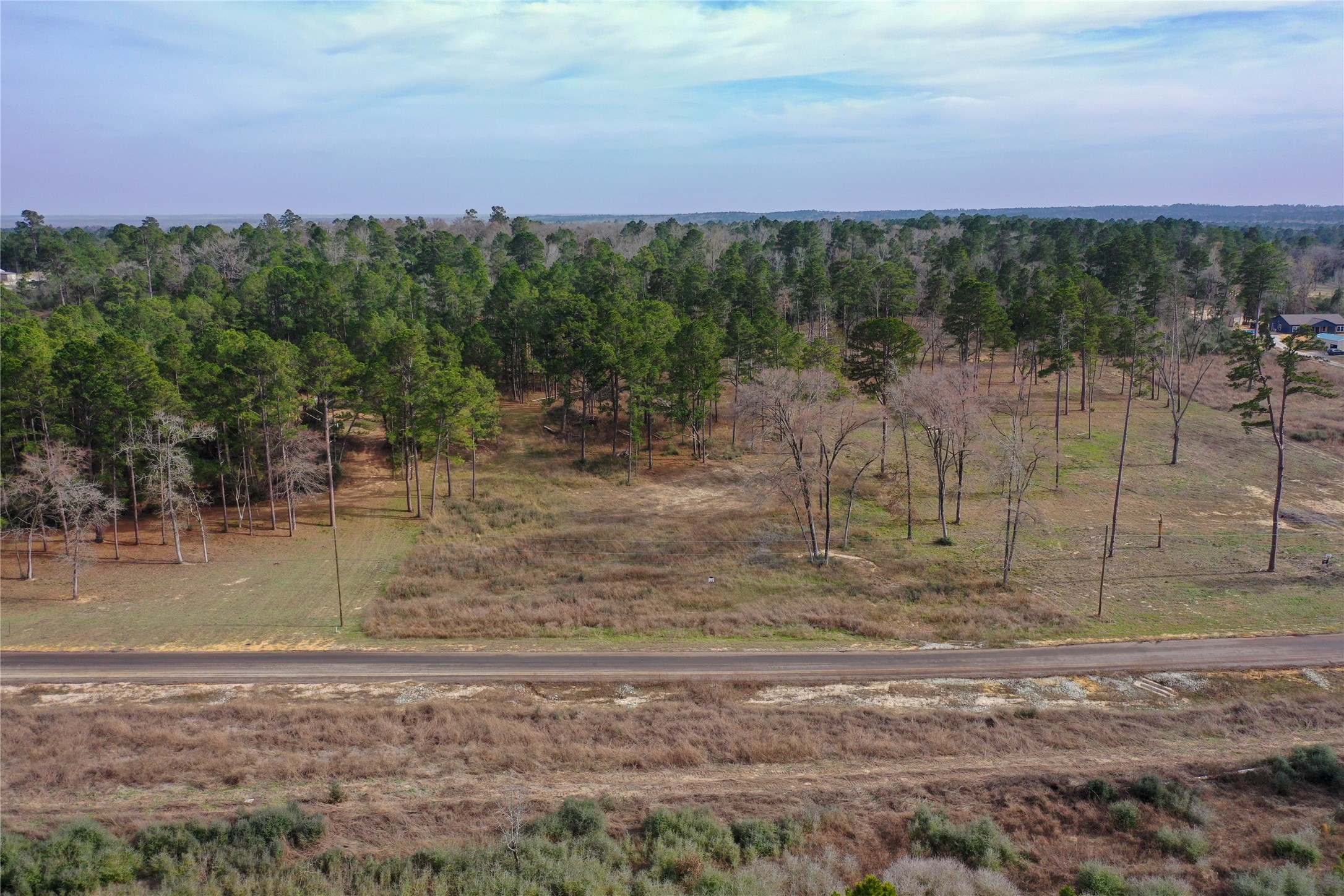 0 County Road 147 Centerville, TX 75833 - Photo 4 of 18 a view of a yard with wooden fence