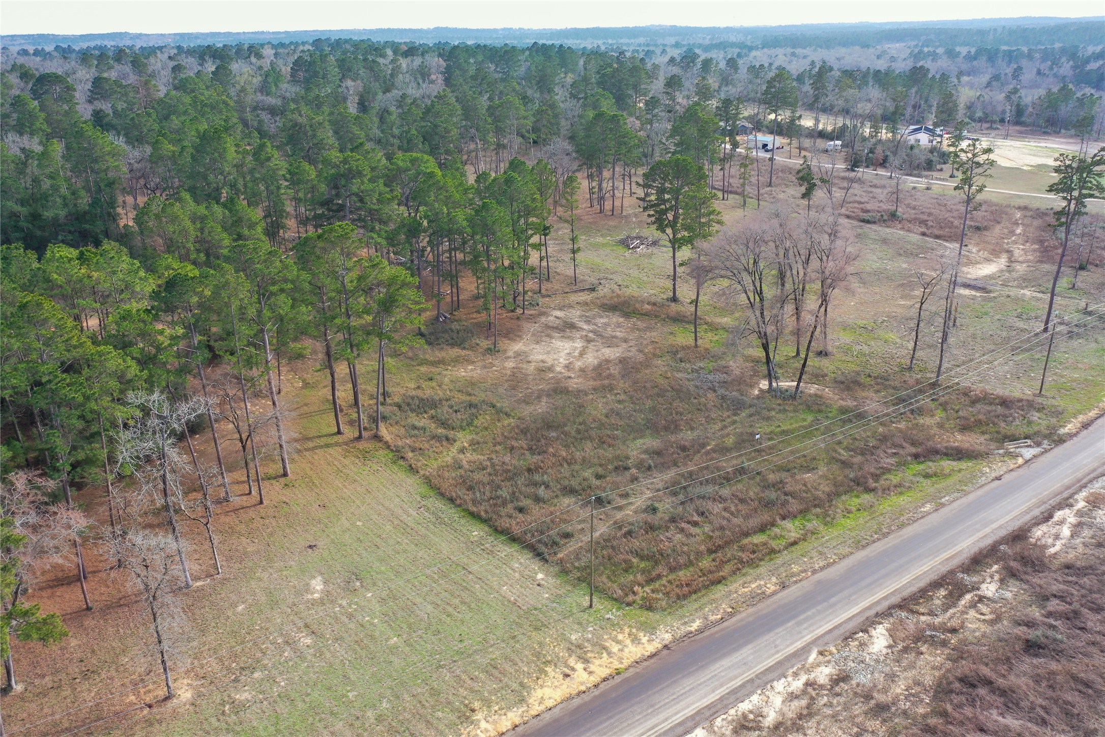 0 County Road 147 Centerville, TX 75833 - Photo 5 of 18 a view of a yard from a window
