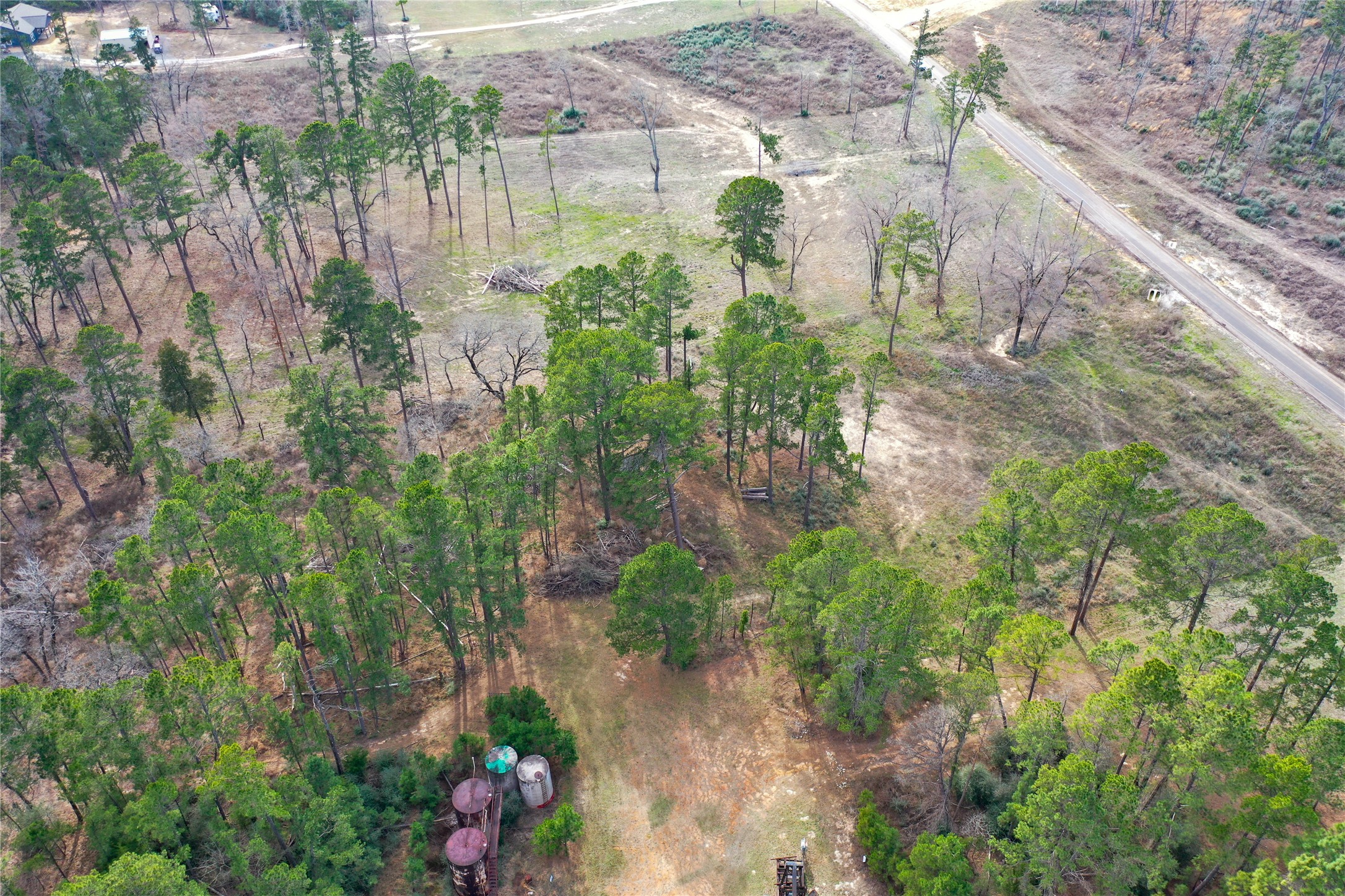 0 County Road 147 Centerville, TX 75833 - Photo 6 of 18 a view of a garden with a lake