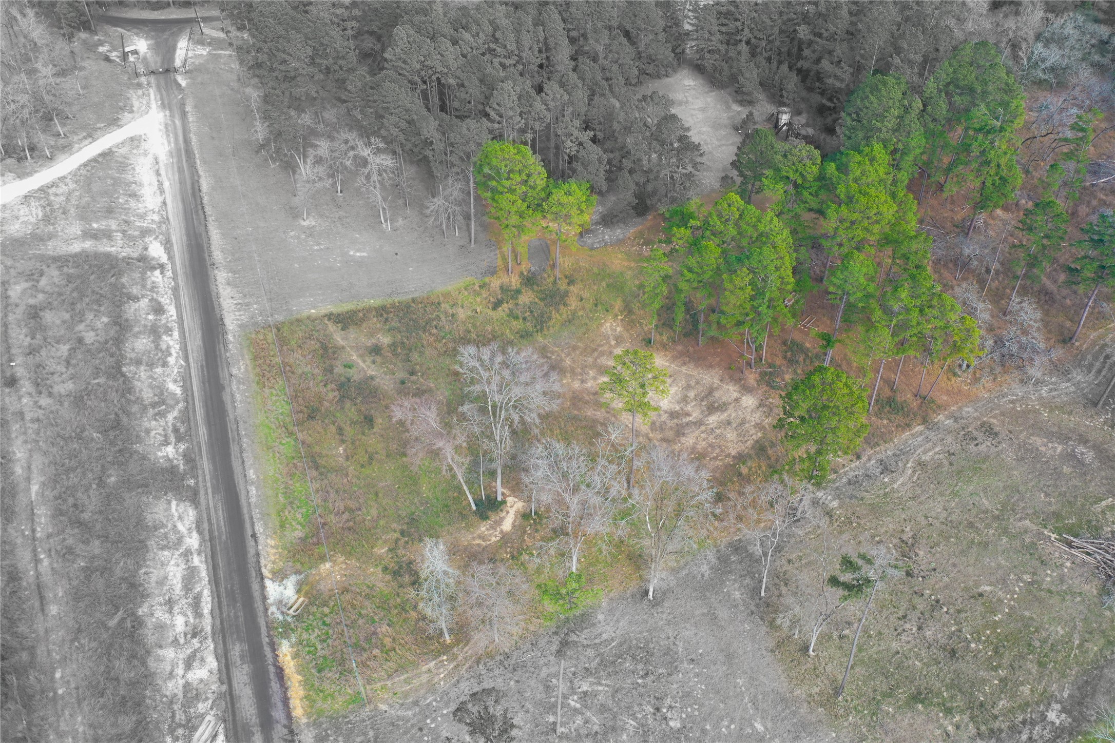 0 County Road 147 Centerville, TX 75833 - Photo 8 of 18