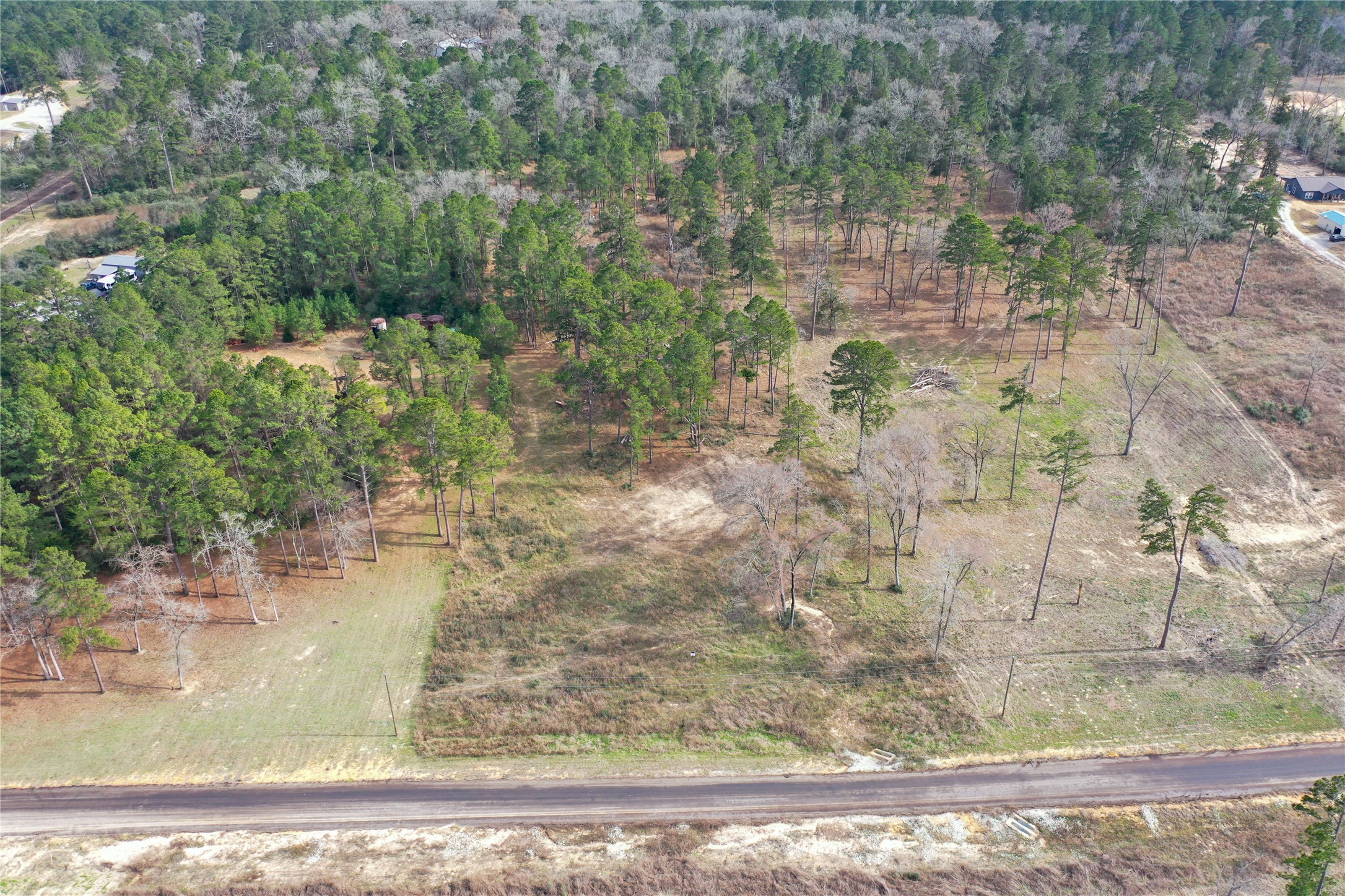 0 County Road 147 Centerville, TX 75833 - Photo 9 of 18 a view of a wooden floor with a yard