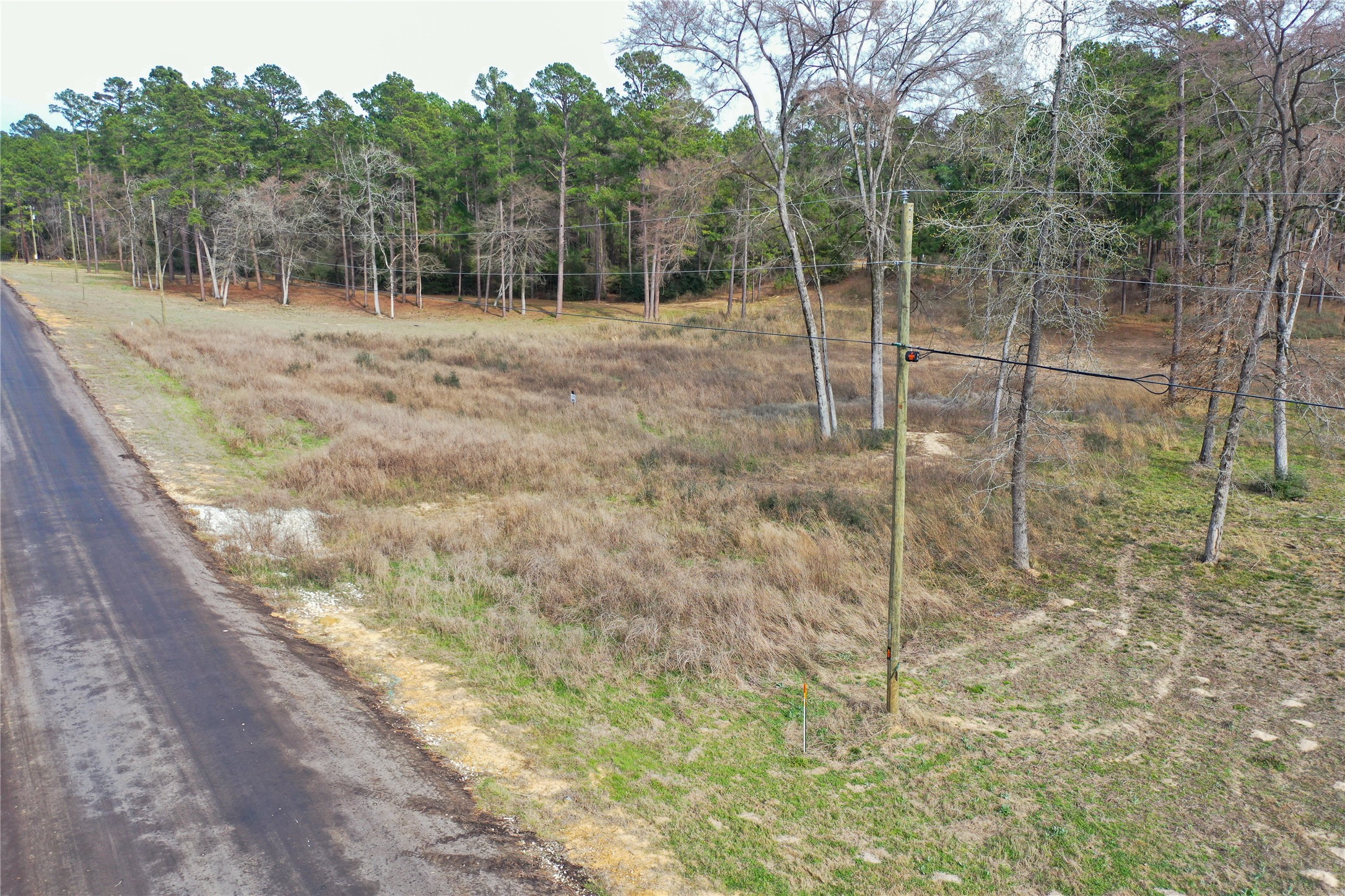 0 County Road 147 Centerville, TX 75833 - Photo 10 of 18 a view of a backyard