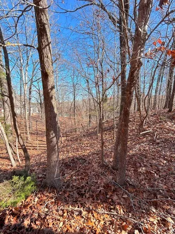 a view of a yard with plants and trees