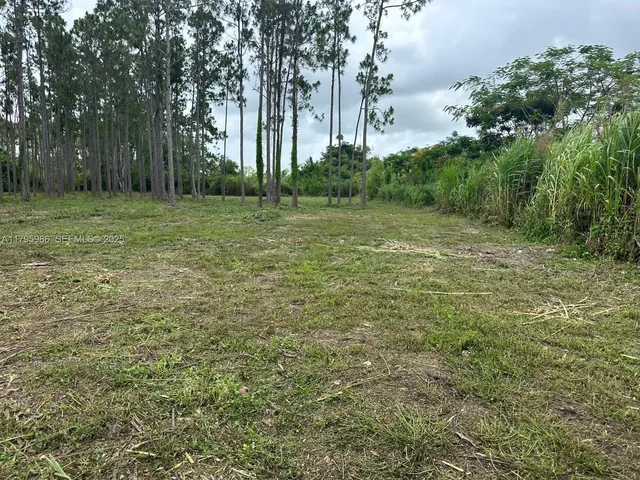 a big yard with lots of green space and trees