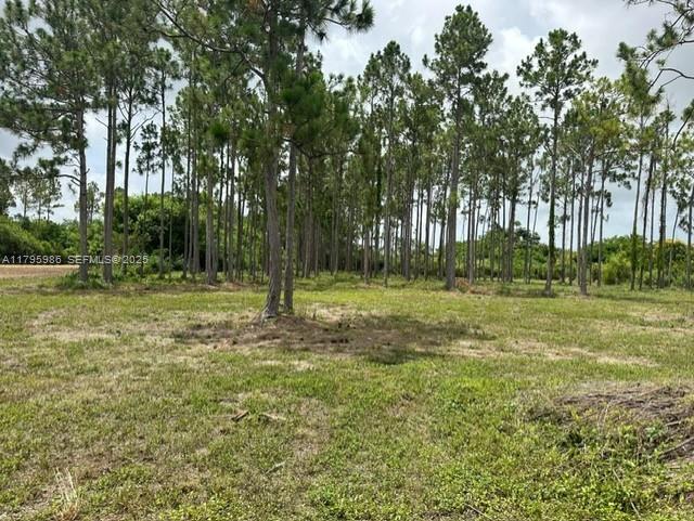 197 Southwest 332nd Street Homestead, FL 33034 - Photo 2 of 6 a backyard of a house with lots of green space