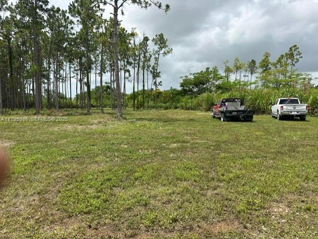 197 Southwest 332nd Street Homestead, FL 33034 - Photo 3 of 6 a view of a yard with an outdoor space