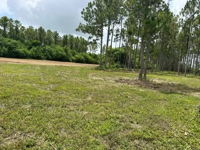 a view of a field with trees in the background