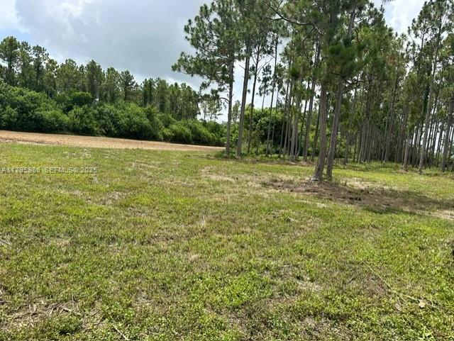 197 Southwest 332nd Street Homestead, FL 33034 - Photo 4 of 6 a view of a field with trees in the background
