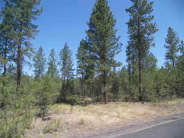 10306 South Andrus Road Cheney, WA 99004 - Photo 2 of 6