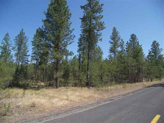 10306 South Andrus Road Cheney, WA 99004 - Photo 3 of 6