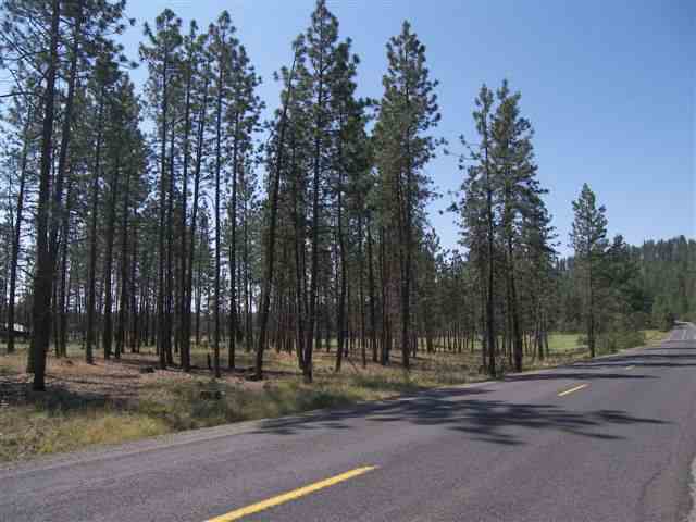 10306 South Andrus Road Cheney, WA 99004 - Photo 5 of 6