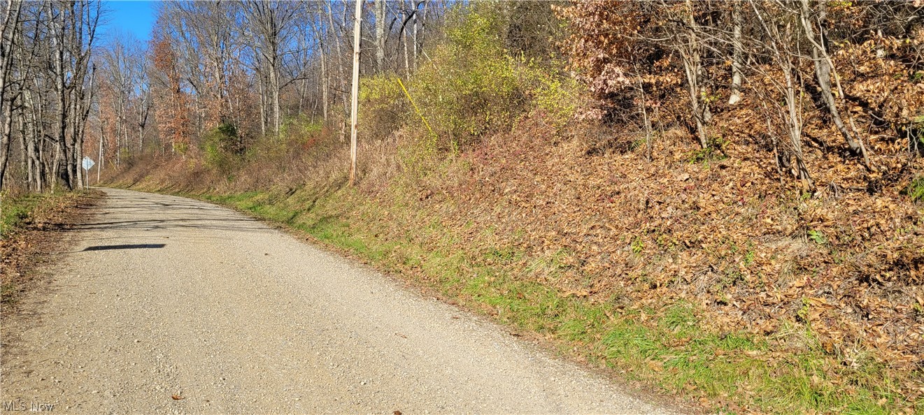 Johnson Run Road Newcomerstown, OH 43832 - Photo 30 of 35 Gallery Image 30