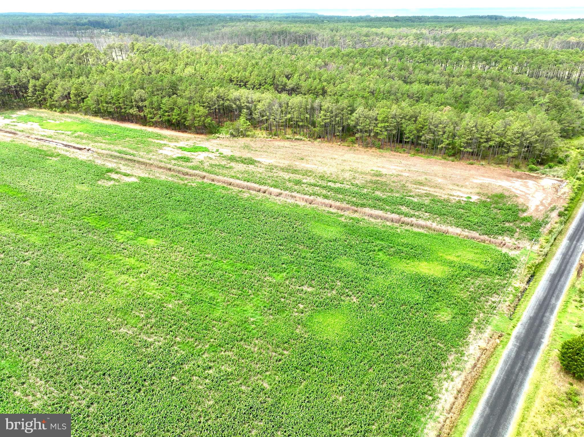 0 Hooper Neck Road Madison, MD 21648 - Photo 11 of 129