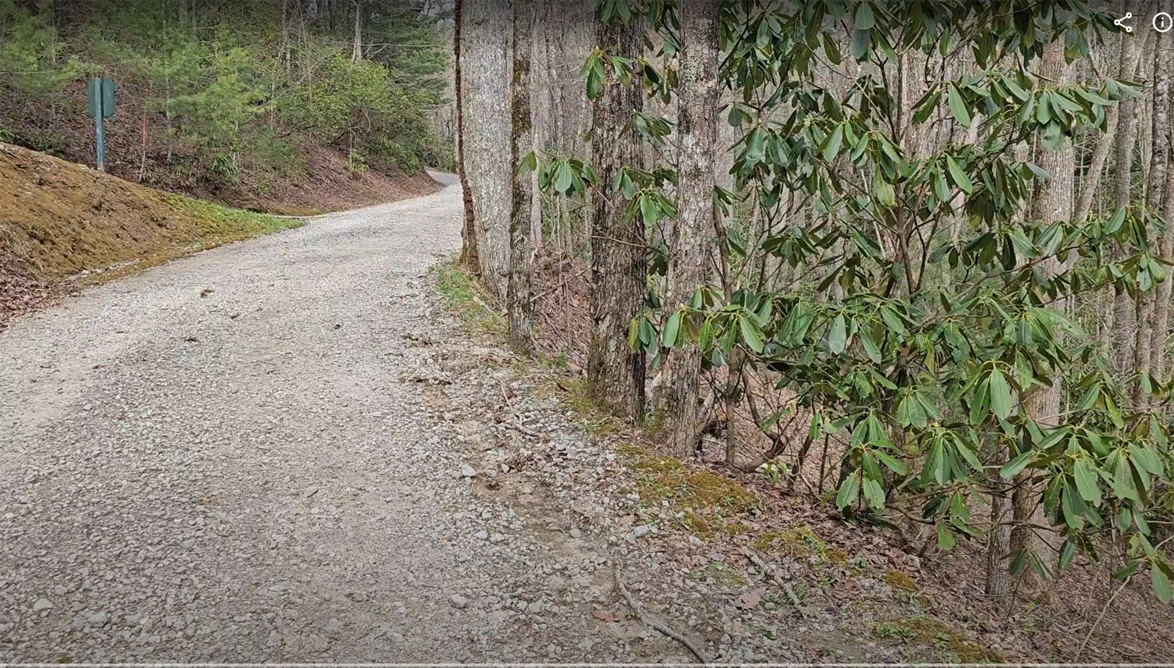 0 Falls Road Scaly Mountain, NC 28775 - Photo 21 of 23 Gallery Image 21