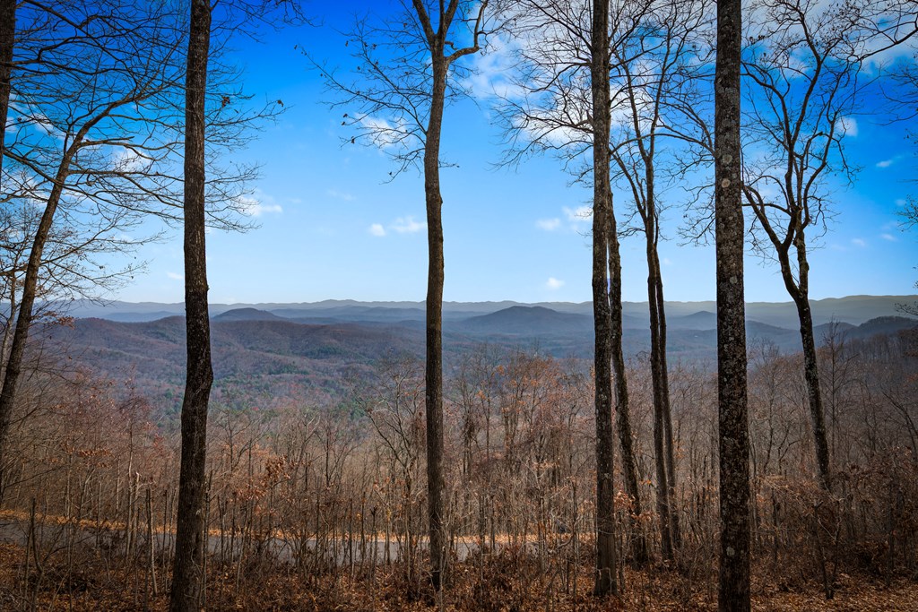 1115 Outlook Road Murphy, NC 28906 - Photo 10 of 60 a view of mountain view from a yard