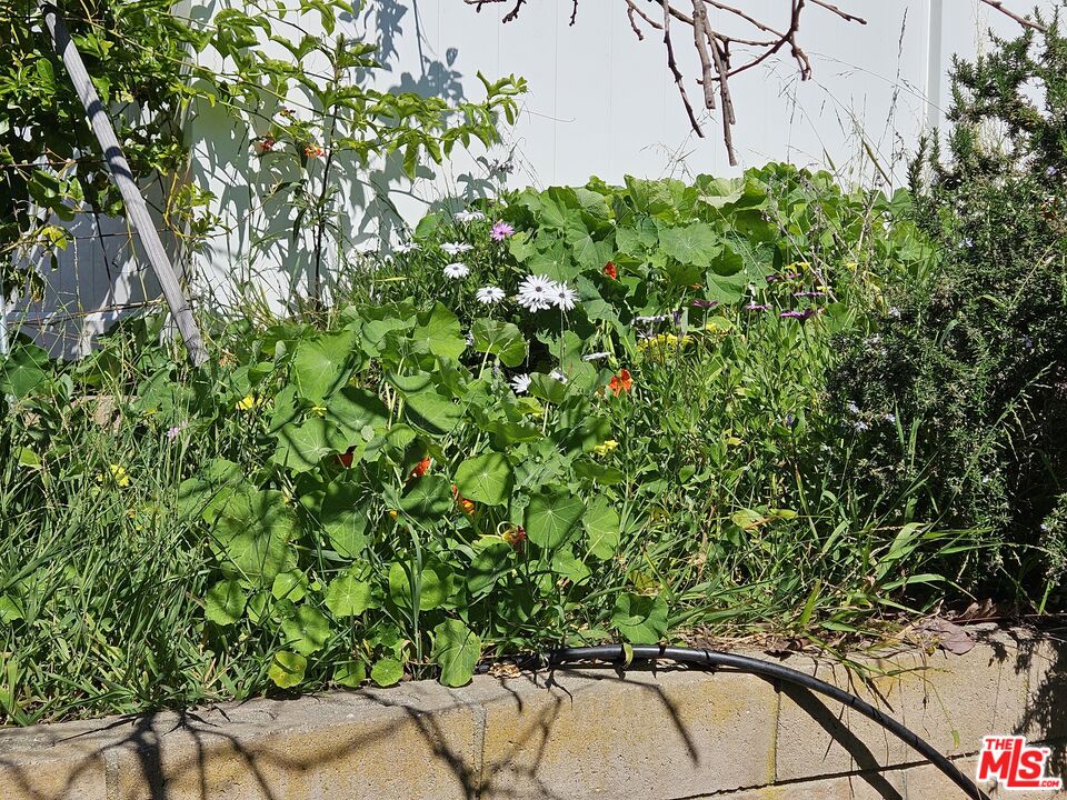 6180 Via Real, Unit 69 Carpinteria, CA 93013 - Photo 14 of 34