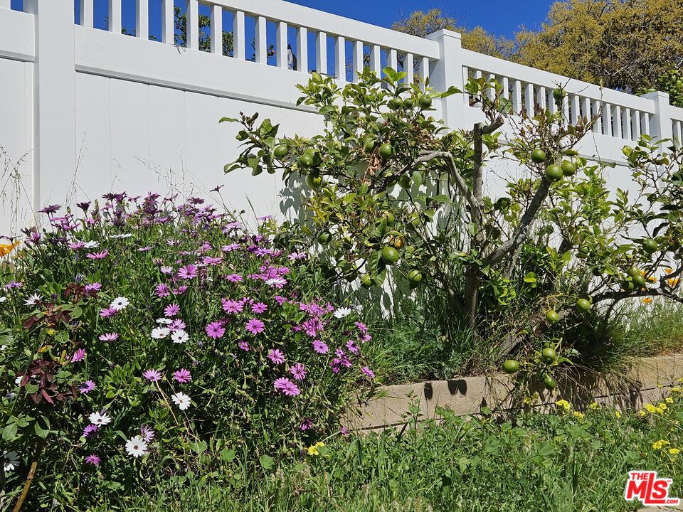 6180 Via Real, Unit 69 Carpinteria, CA 93013 - Photo 15 of 34