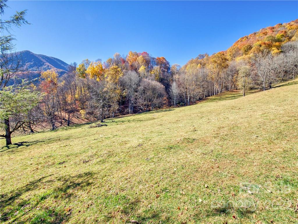 352 Stoney Ridge Loop Maggie Valley, NC 28751 - Photo 8 of 26 a view of a yard with a house in the background