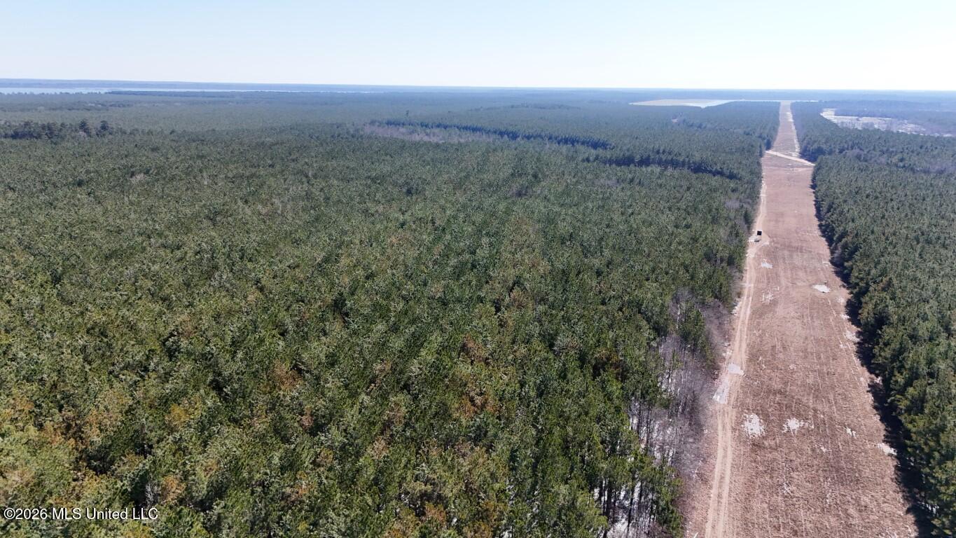 Debutte Road Bastrop, LA 71220 - Photo 3 of 28 DJI_20260202125204_0120_D (Medium)