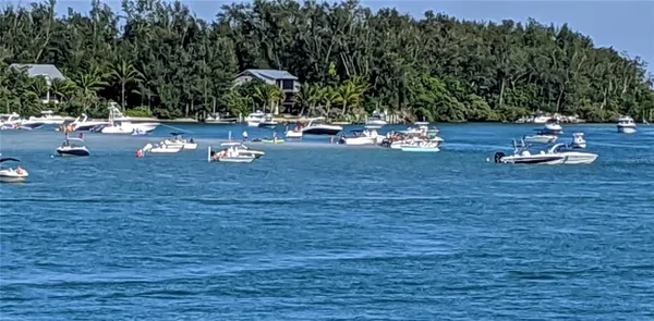 a view of a fire pit with large trees