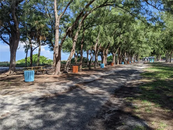a view of road with trees