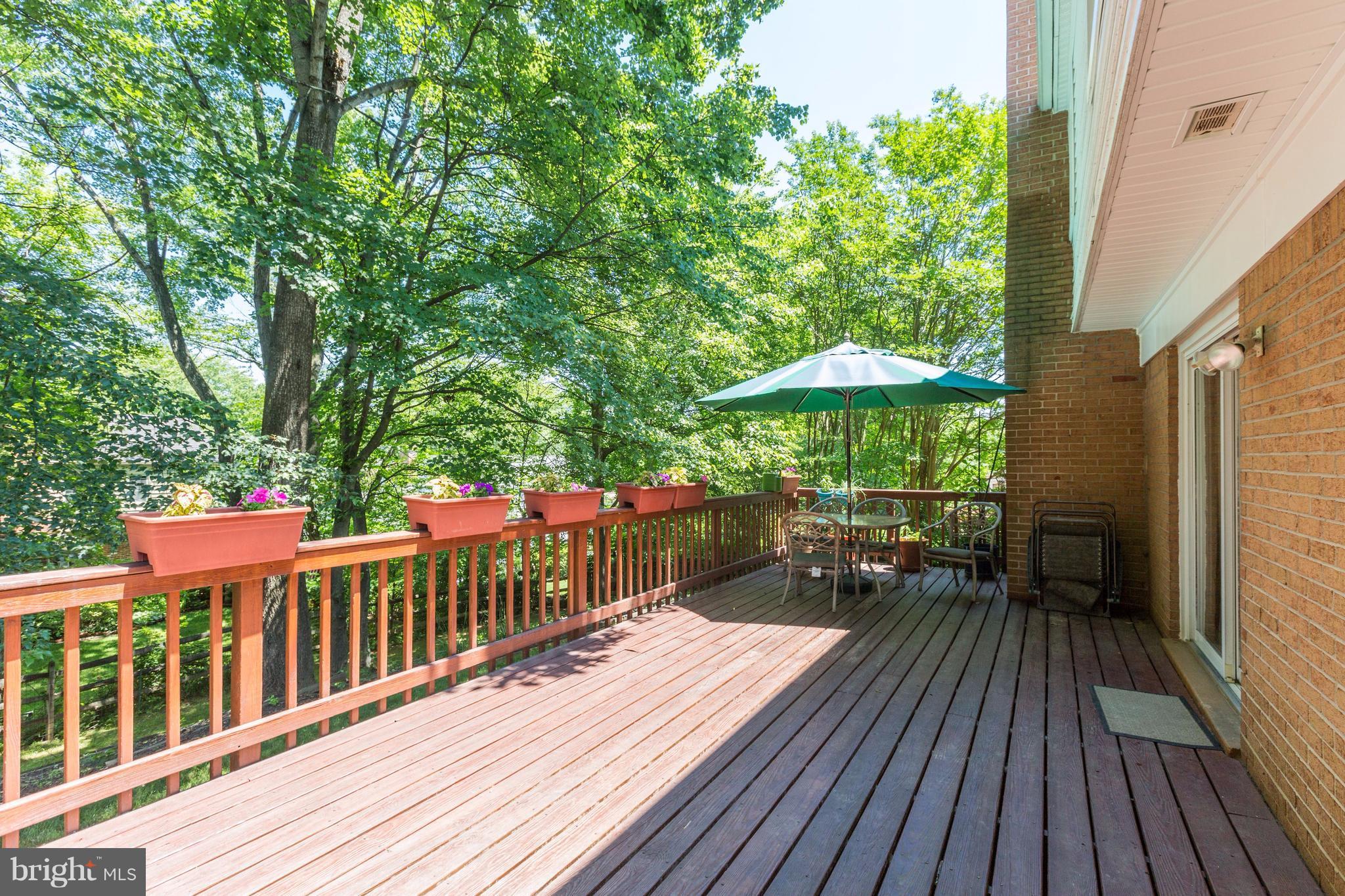 8811 Bells Mill Road Potomac, MD 20854 - Photo 22 of 24 Deck