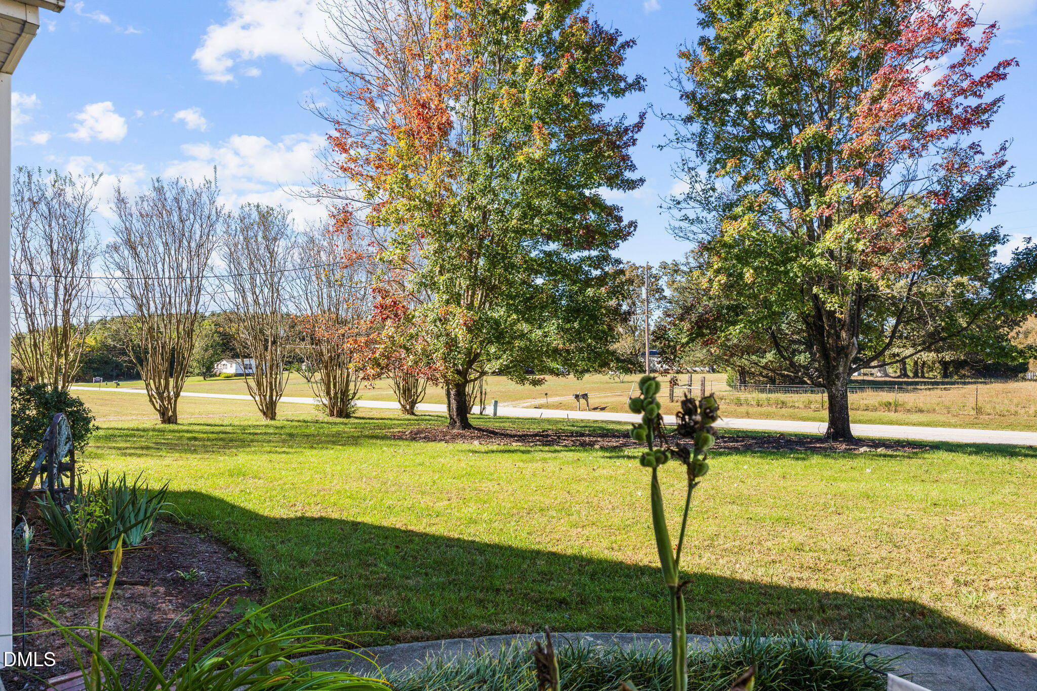 1155 Bobbitt Road Kittrell, NC 27544 - Photo 41 of 46 17-web-or-mls-19-img_8761