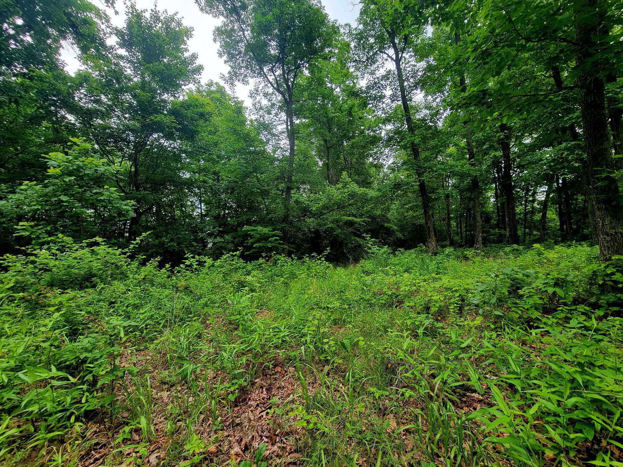 279 Mike Mcwhorter Road Tyner, KY 40486 - Photo 27 of 45 436519957_370360132302133_79680743202363
