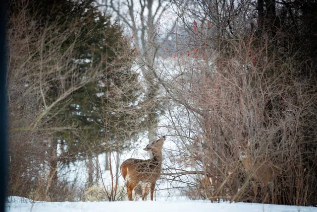 $102,000 | L98 Greenway, Janesville, WI 53548