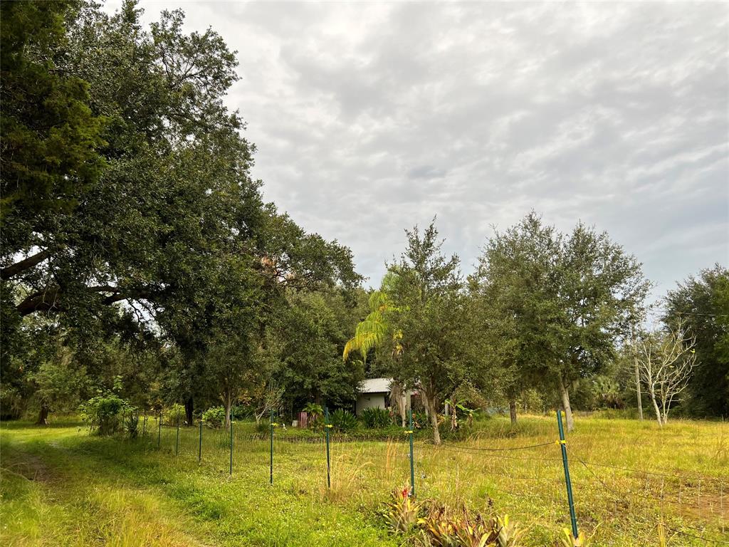 14625 Northwest 298th Street Okeechobee, FL 34972 - Photo 11 of 11 a swimming pool with trees in the background