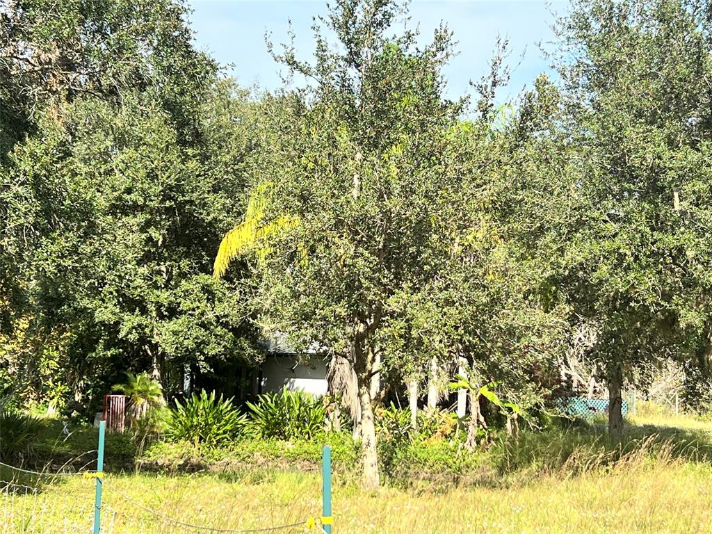 14625 Northwest 298th Street Okeechobee, FL 34972 - Photo 2 of 11 a view of a yard