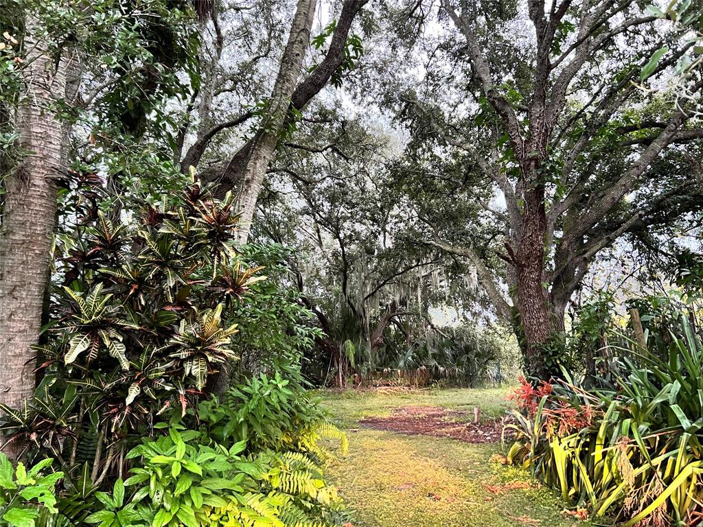 14625 Northwest 298th Street Okeechobee, FL 34972 - Photo 3 of 11 a view of a yard with a tree