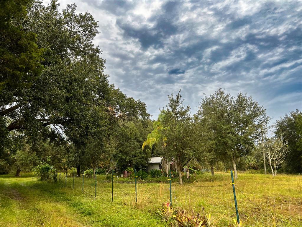 14625 Northwest 298th Street Okeechobee, FL 34972 - Photo 6 of 11 a swimming pool with trees in the background