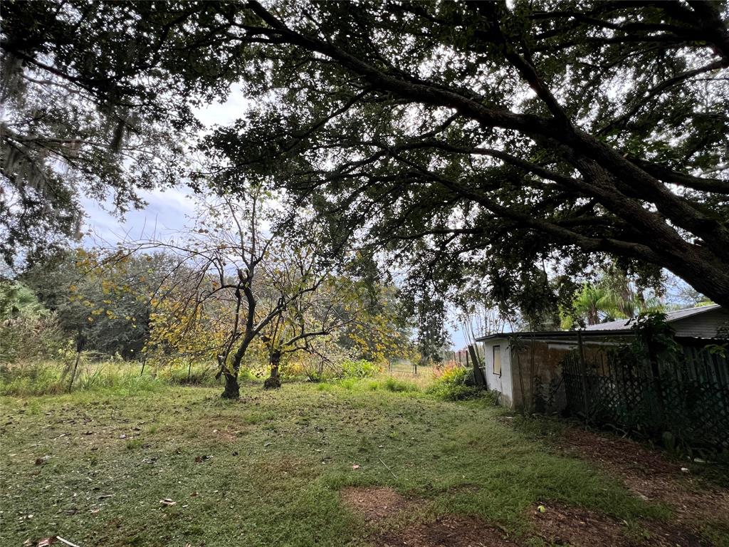 14625 Northwest 298th Street Okeechobee, FL 34972 - Photo 7 of 11 a view of backyard with tree