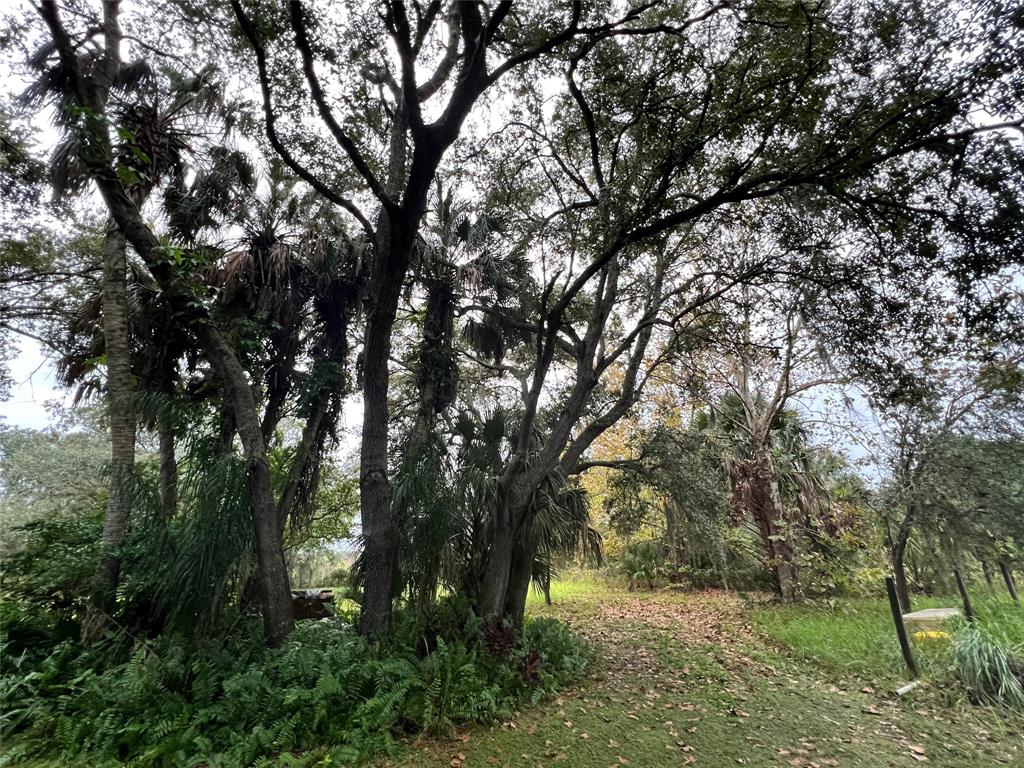 14625 Northwest 298th Street Okeechobee, FL 34972 - Photo 8 of 11 a view of outdoor space and yard