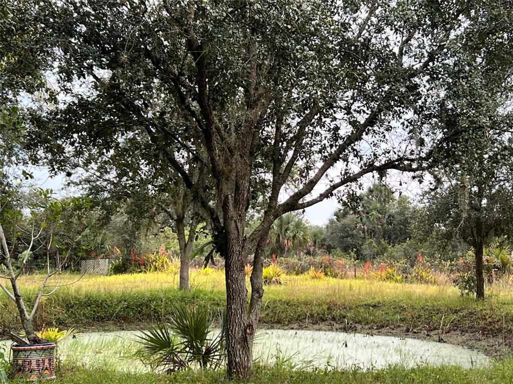 14625 Northwest 298th Street Okeechobee, FL 34972 - Photo 9 of 11 a view of a yard