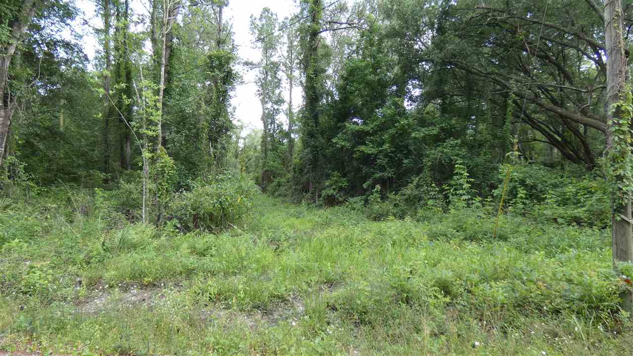 Tbd Thompson Valley Road Monticello, FL 32344 - Photo 2 of 4 Gallery Image 2