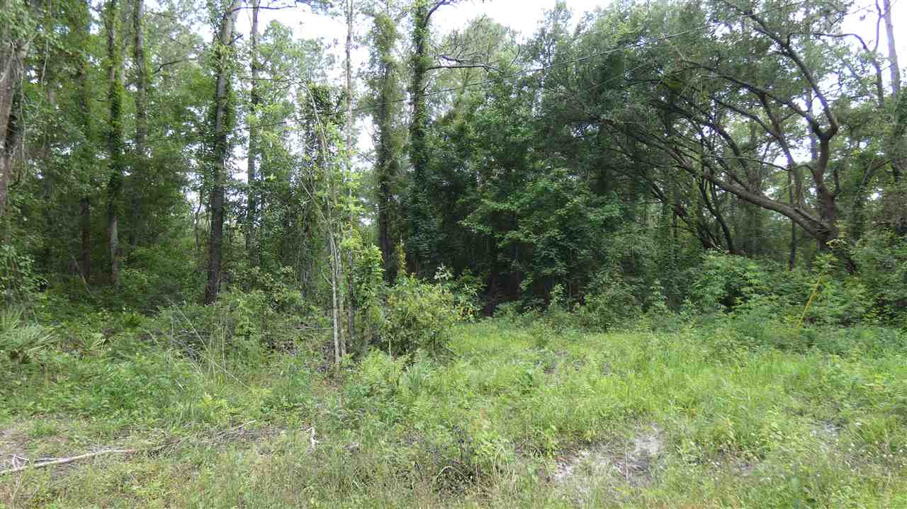 Tbd Thompson Valley Road Monticello, FL 32344 - Photo 4 of 4 Gallery Image 4