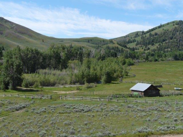 503 Antelope Creek Road Moore, ID 83255 - Photo 11 of 40 P1060721