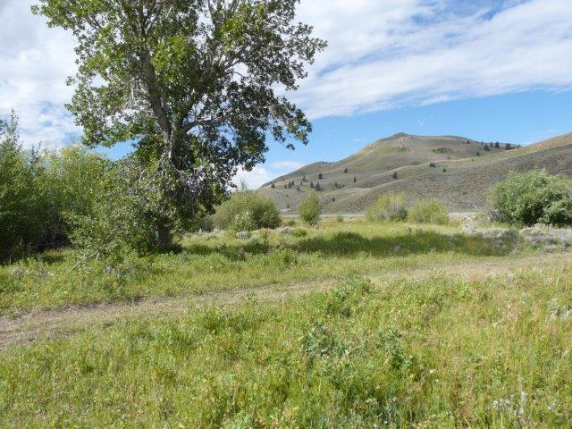 503 Antelope Creek Road Moore, ID 83255 - Photo 13 of 40 P1020182