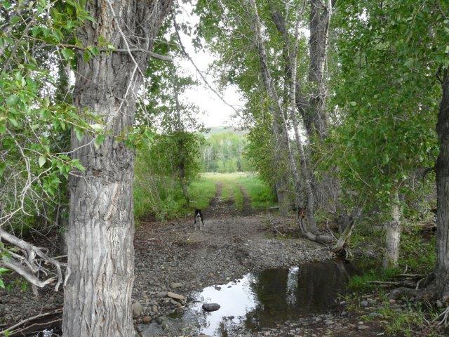 503 Antelope Creek Road Moore, ID 83255 - Photo 15 of 40 P1010973