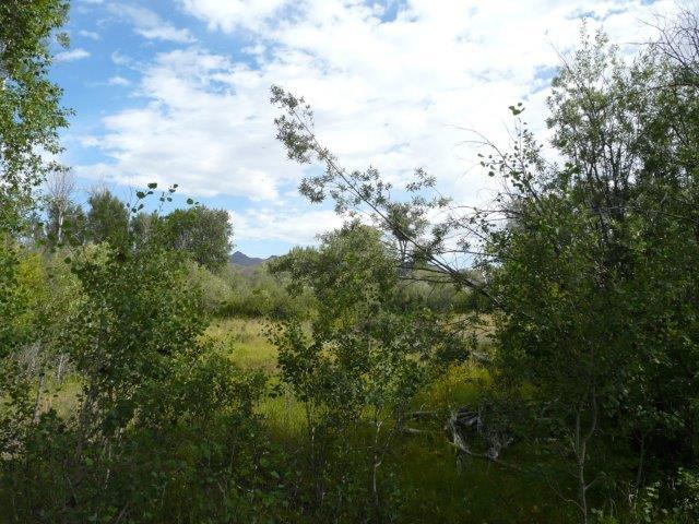 503 Antelope Creek Road Moore, ID 83255 - Photo 16 of 40 P1020164