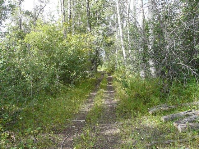 503 Antelope Creek Road Moore, ID 83255 - Photo 17 of 40 P1020163